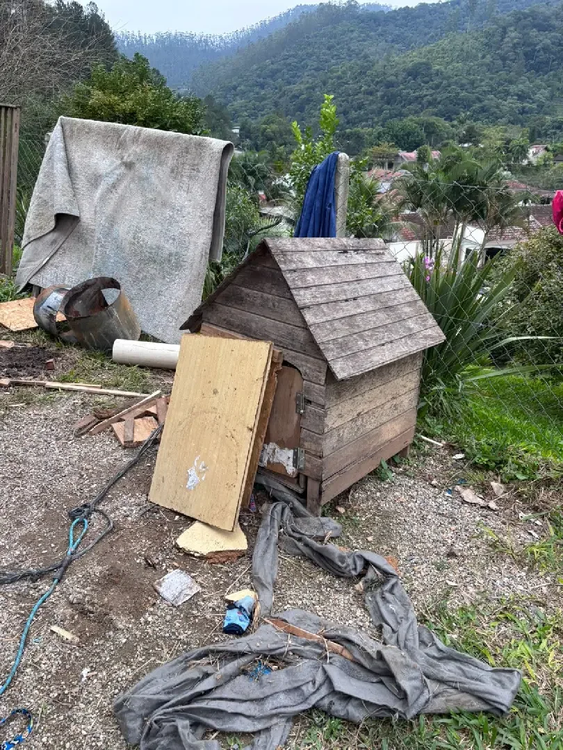Mulher é presa por maus-tratos a cachorro em Botuverá