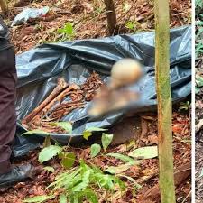 Ossada humana é encontrada em área de mata na Praia Brava, em Itajaí